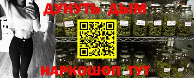 стафф Новокубанск