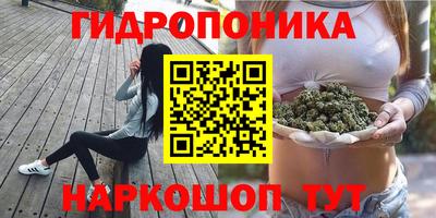 круглые Новозыбков