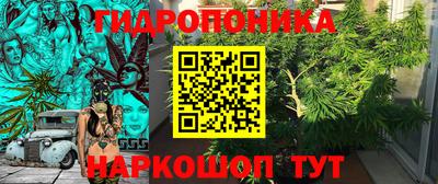 стафф Новокубанск