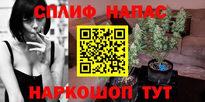 дживик Новодвинск