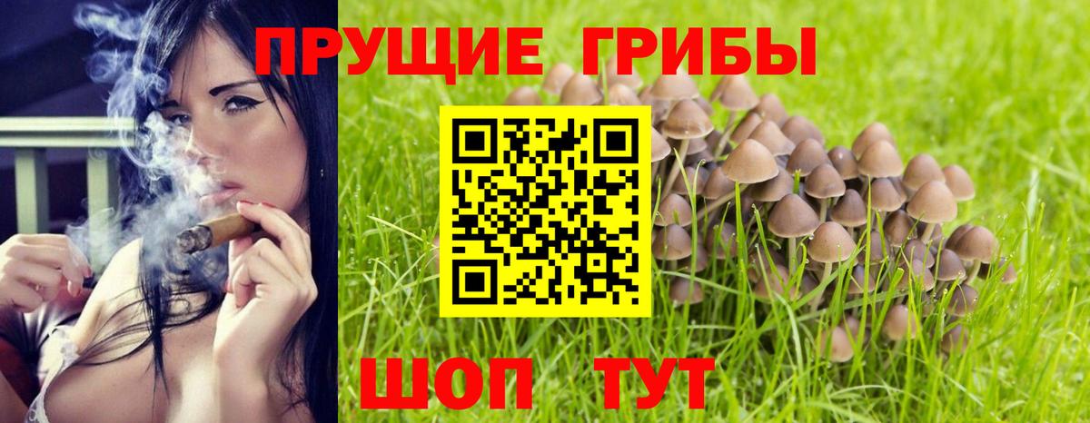 Галлюциногенные грибы мицелий  Вход с VPN  Псилоцибиновые грибы ЛСД  Ростов-на-Дону 