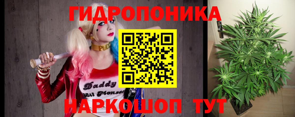 Каннабис индика Ростов-на-Дону